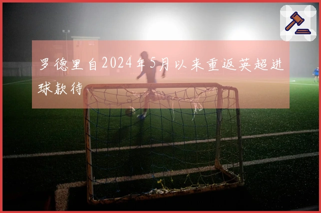 罗德里自2024年5月以来重返英超进球款待